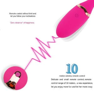 Remote Control Fish Egg Wireless Vibrator 1